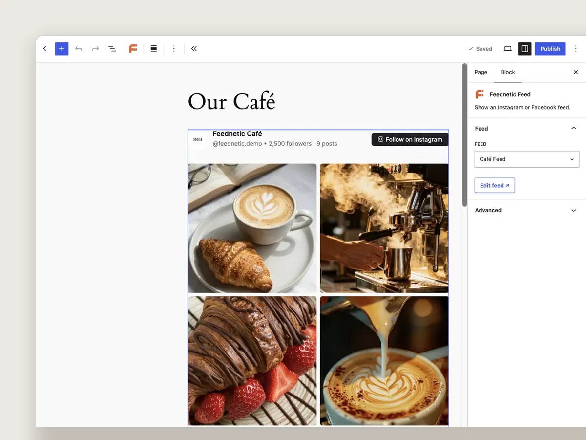 Feednetic block selected in the WordPress block editor
